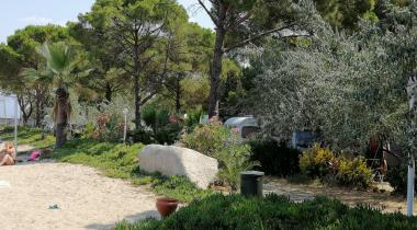 Altın Camp