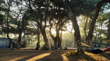 Boğaz Otel - Camping 