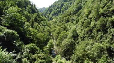 KOCAALİ Maden Deresi