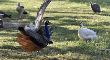 İzmir Doğal Yaşam Parkı