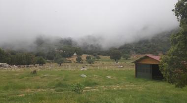 BABAKAMP Eco Ranch & Retreat