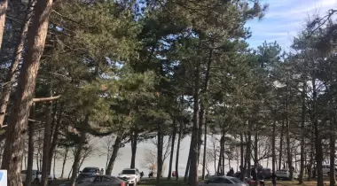 Dağyenice Göleti Kamp Alanı