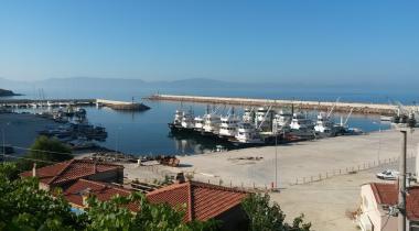 Çamlık Kamping
