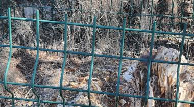 Seben Fosil Araştırma Ormanı