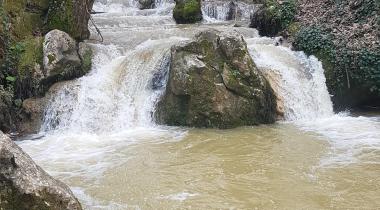 Hasanağa Barajı Kamp Alanı