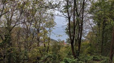 Amasra Kuş Kayası Yol Anıtı