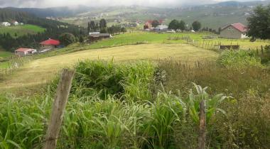 Trabzon Düzköy Doğa Kampı