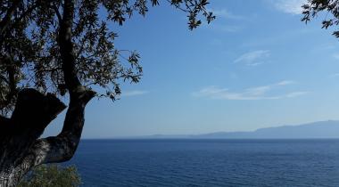 Assos Öz Pansiyon Camping Restaurant