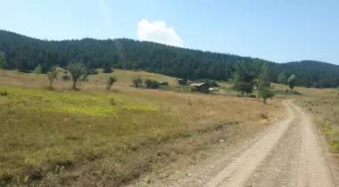 Kabaarmut Yaylası