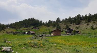 Saranoy (Limni) Yaylası