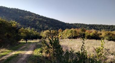 Hasanağa Barajı Kamp Alanı