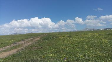 Çağrankaya Yaylası