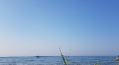 Doğanay Camping