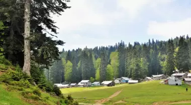 Derebalık Yaylası