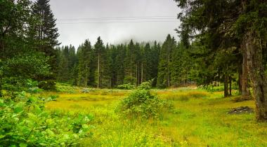 Sazalan Yaylası