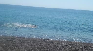 Assos Apollon Karavan Camping Bungalov