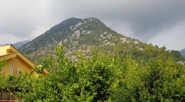 Portakal Bahçesi