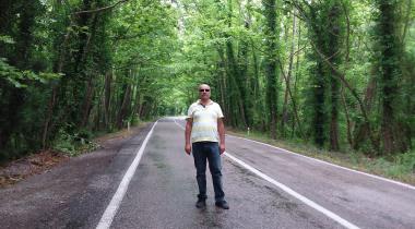 Bartın Safranbolu Ağaçlı Yol (Ulus Ağaç Tüneli)