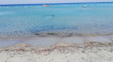 Kabatepe Plajı