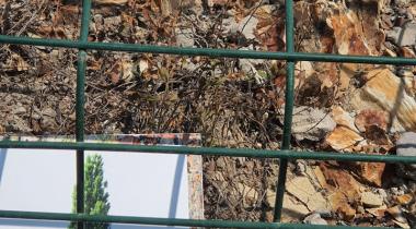 Seben Fosil Araştırma Ormanı