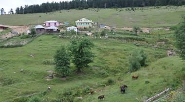 Bedir Yaylası