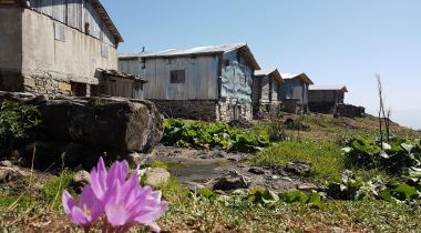 Sakoriya Yaylası