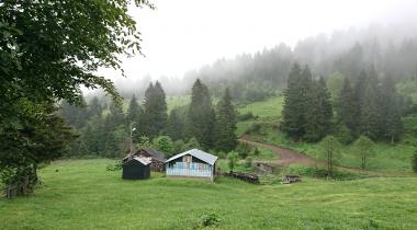 Şolma Yaylası
