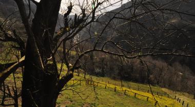 Pokut Yaylası Platoda Mola Yaylaevi