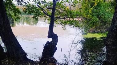 Dalyan Gölü
