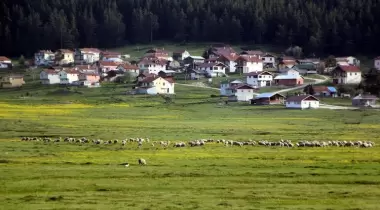 Sarıalan Yaylası
