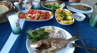 Seher Camping