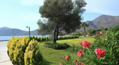Aktur Datça Kamping