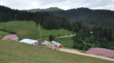 Bedir Yaylası