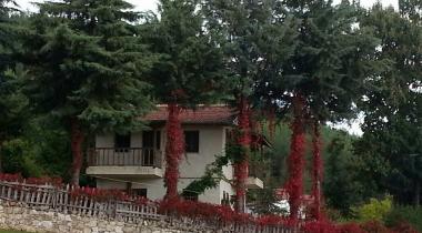 Borcak Yaylası