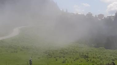 Paşakonağı Yaylası