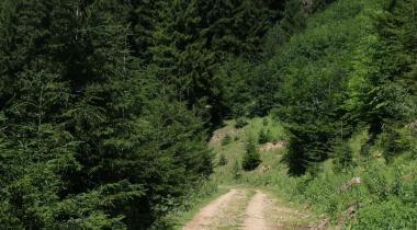 Kırık Yayla