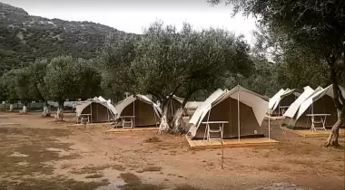 Kamp Olive
