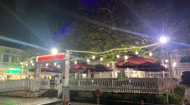 Yalova Termal Anıt Çınar Ağacı