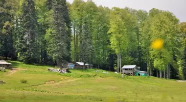 Hera Yaylası