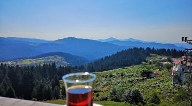 Paşakonağı Yaylası