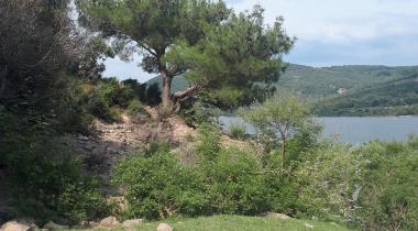 Pikamp Atikhisar Kamp Alanı