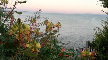 Serenay Çadır Camping