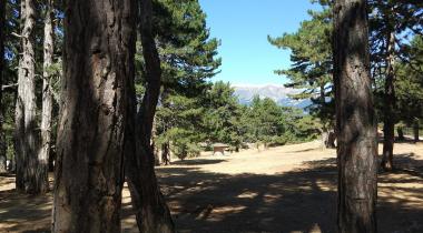 Kocayayla Karavan Park ve Piknik Alanı