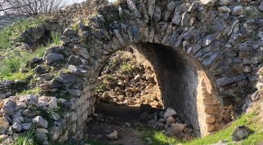 İzmir Teos Antik Kenti Zeytin Anıt Ağacı