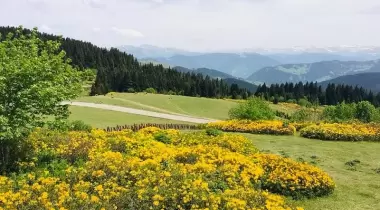 Kulakkaya (Hanalanı) Yaylası