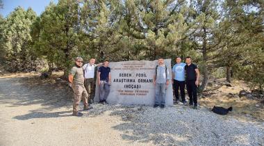 Seben Fosil Araştırma Ormanı
