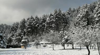 İdagonya Kamping