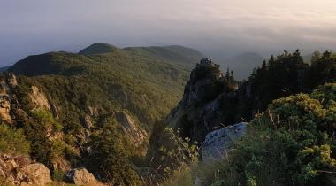 Uludağ Çobankaya Kamp Alanı