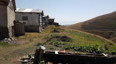 Sakoriya Yaylası