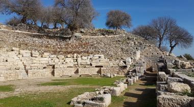 İzmir Teos Antik Kenti Zeytin Anıt Ağacı